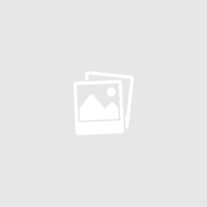 Basischool directeur